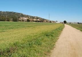 Camí de Ronda